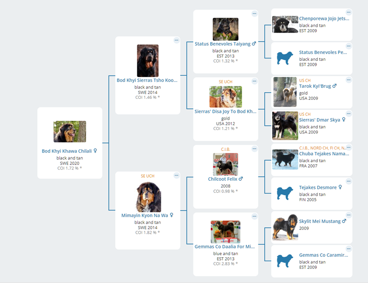 Chilla Kennel Bod Khyi hanhundslistan-specialklubben-f-r-bearded-collie